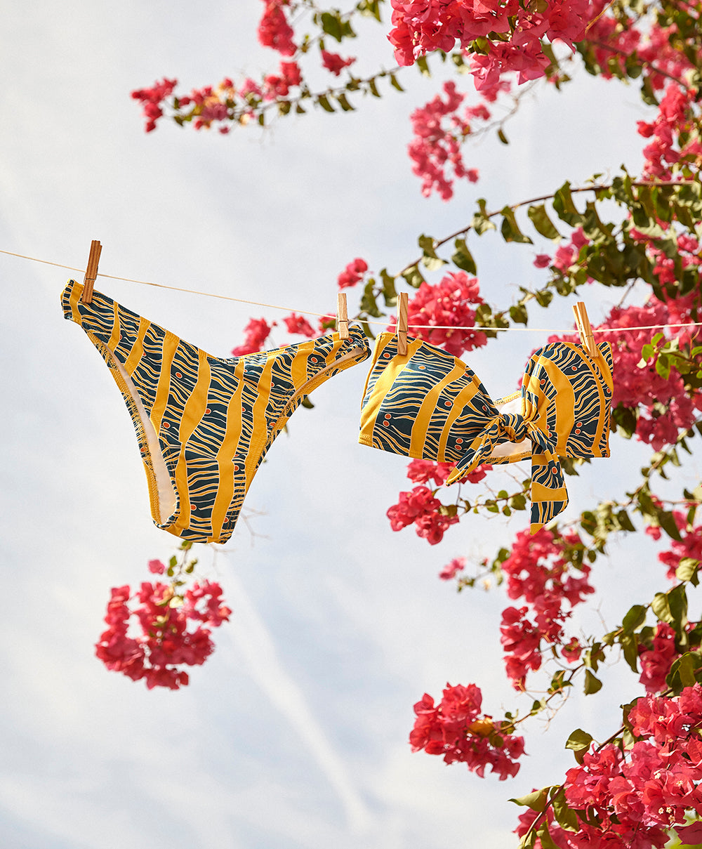 SARGAZO | Bikini